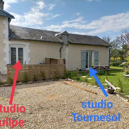 Studio " Tournesol " Au Coeur Du Berry Les Bordes Bagian luar foto