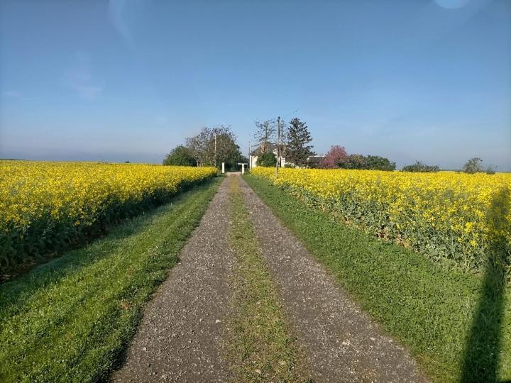 Studio " Tournesol " Au Coeur Du Berry Les Bordes Bagian luar foto